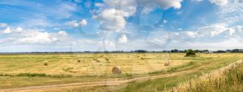 Hay bale field in a beautiful summer day