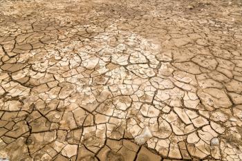 Dry land and cracked ground background in a summer day