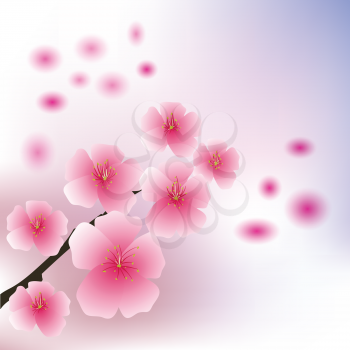 colorful illustration with cherry flowers  for your design