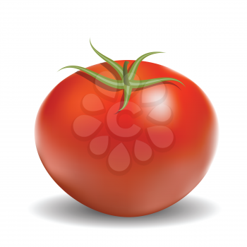 colorful illustration with red tomato for your design