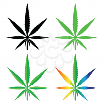 colorful illustration  with  cannabis  on white background