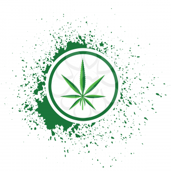 colorful illustration  with  cannabis  on white background