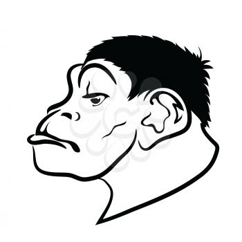  illustration  with monkey on white background