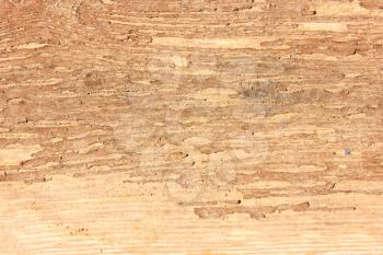 Old wood background. Cracked paint on wooden plank.