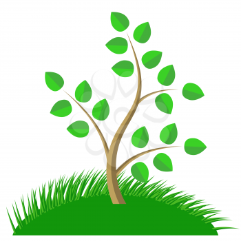 Green Cartoon Tree and Green Grass isolated on White Background. 