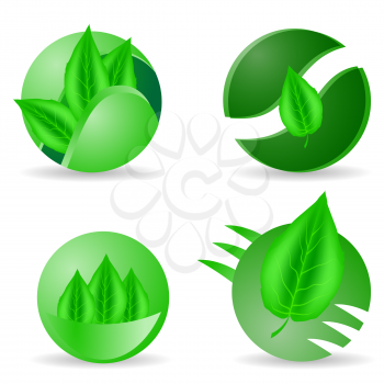 Set of Green Leaves Icons Isolated on White Background