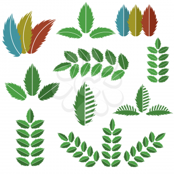 Vector Set of Green Leaves Isolated on White Background