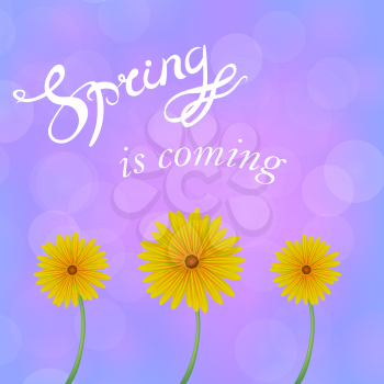 Spring Lettering Design. Banner with a Blurred Pink Blue Background and Text