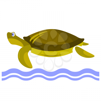Cartoon Turtle Icon Isolated on White Background