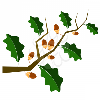 Ripe Acorn Icon Isolated on White Background. Autumn Oak Branch and Leaves Logo