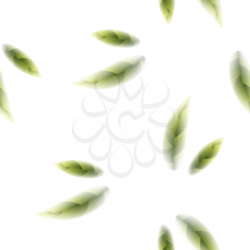 Fresh Green Tea Leaves Seamless Pattern on White Background.