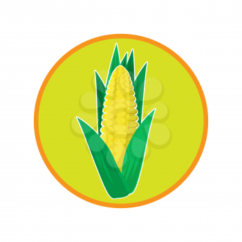 Fresh Yellow Corn Icon. Natural Vegetable Seeds. Corncob Logo Design. An Ear of Gold Cob.