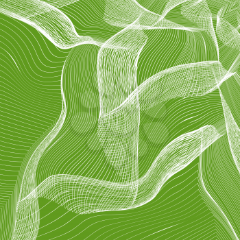 Abstract White Line Pattern on Green Background.