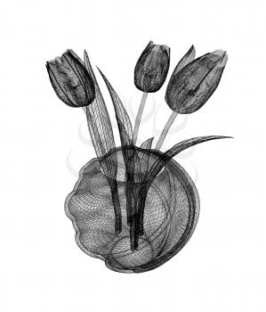 Tulips with leaf in vase