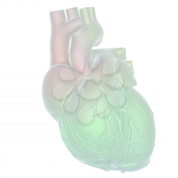 Human heart and veins. 3D illustration.