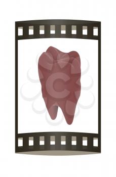 Colorful tooth. 3d illustration. Film strip.