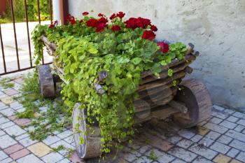 The cart with flowers.
