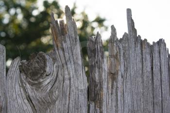 Old wooden fence and a ray of sun. Close-up with abstract blurred background behind