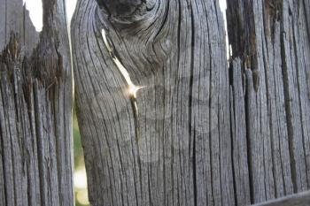 Old wooden fence and a ray of sun in a crack. Close-up with abstract blurred background behind