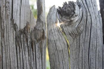 Old wooden fence and a ray of sun in a crack. Close-up with abstract blurred background behind