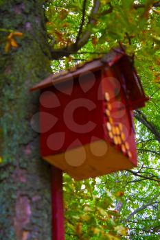 birdhouse on the tree