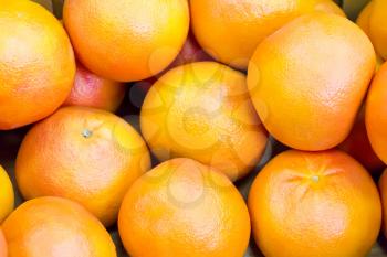 Photo of background with orange ripe grapefruit