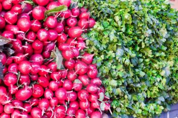 Photo of background fresh radish and foliage