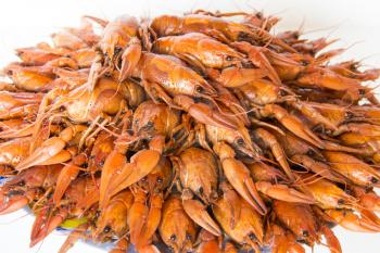 Photo of red boiled crawfishes on the dish
