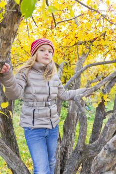 Autumn photo of Red Hat girl on tree in autumn