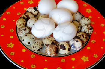 Photo of red dish with hen and quail eggs
