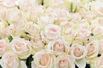 Background of white roses bouquet in marketplace