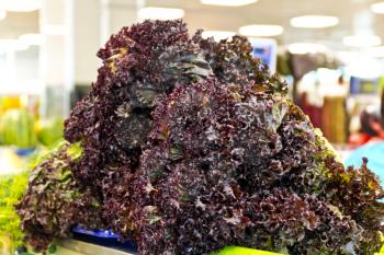 Big sheaf of fresh colour salad in marketplace