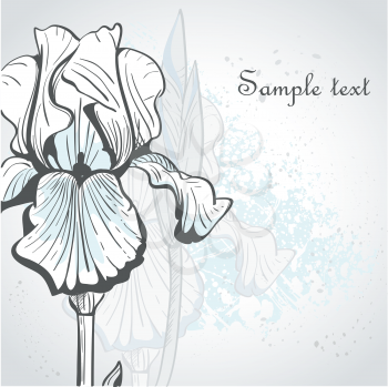 Royalty Free Clipart Image of an Iris Background