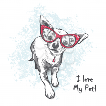 Funny puppy chihuahua wearing glasses. Contour cartoon vector illustration