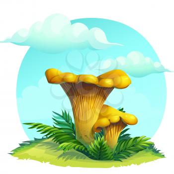 Vector cartoon illustration mushroom chanterelle on the grass under the sky with clouds