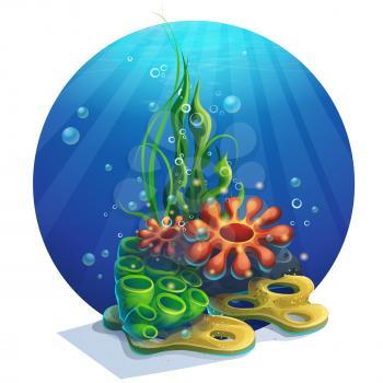 Vector illustration underwater algae. Bright image to create original video or web games, graphic design, screen savers.