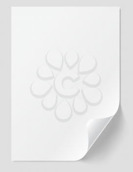 Blank sheet with curled corner. Vector blank template.