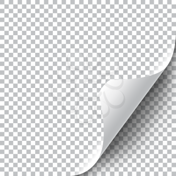 Curly Page Corner realistic illustration with transparent shadow. Ready to apply to your design. Graphic element for documents, templates, posters, flyers.