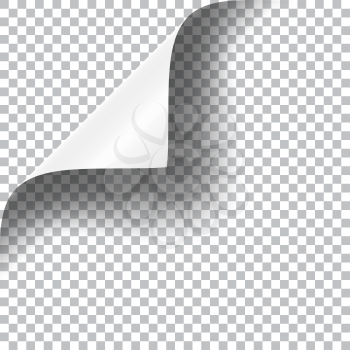 Curly Page Corner realistic illustration with transparent shadow. Ready to apply to your design. Graphic element for documents, templates, posters, flyers.