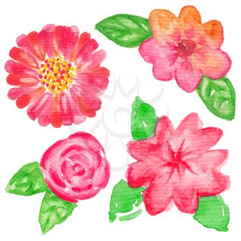 Hand painted watercolor flowers. Graphic design elements for baby shower and wedding invitations, birthday cards, corporate identity and business cards, web sites and scrapbooking. Hand painted illust