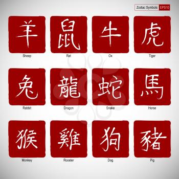 Chinese calligraphy zodiac on red background. Hieroglyphics year. Vector illustration.