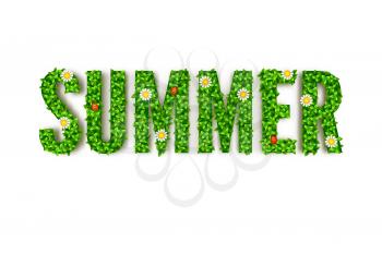 Summer greeting card, summer inscription in capital letters and green leaves with flowers and beetles, ladybug.
