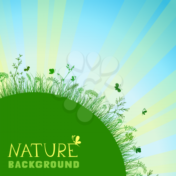 Summer background with green grass and sunburst. There is place for your text.