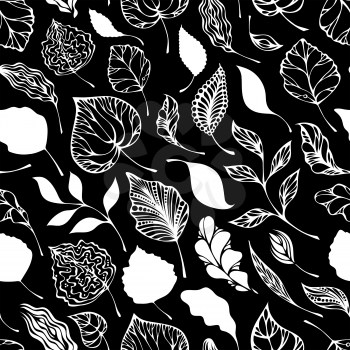 Ornate white leaves on black background.