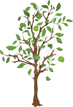 Illustration of tree isolated on white background