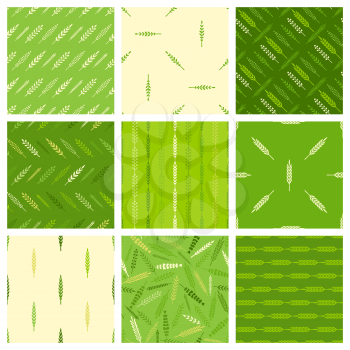 Various leaves. Green spring backgrounds.