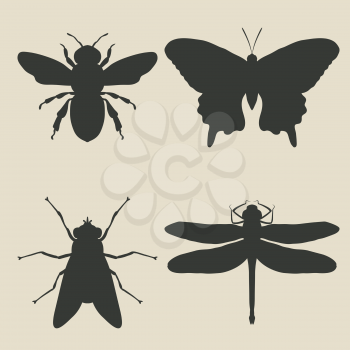insects icon set - vector illustration. eps 8