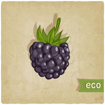 blackberry eco background - vector illustration. eps 10