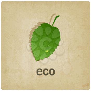 leaf eco old background - vector illustration. eps 10