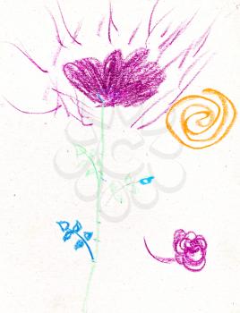 children drawing - magenta flower